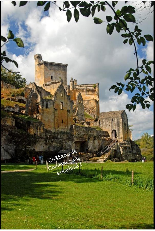 Chateau De L Herm, Lascaux, Sarlat, En Perigord Noir Villa Rouffignac Saint-Cernin Exterior foto